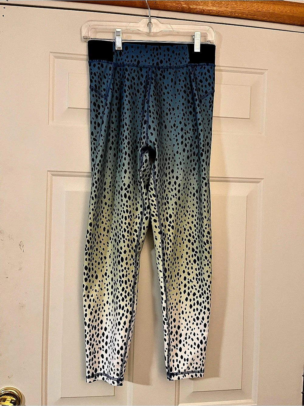 Cycle House Ombre Cheetah Print Leggings Blue & Green Large